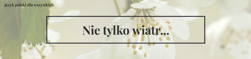 Język polskie dla wszystkich - Nie tylko wiatr...